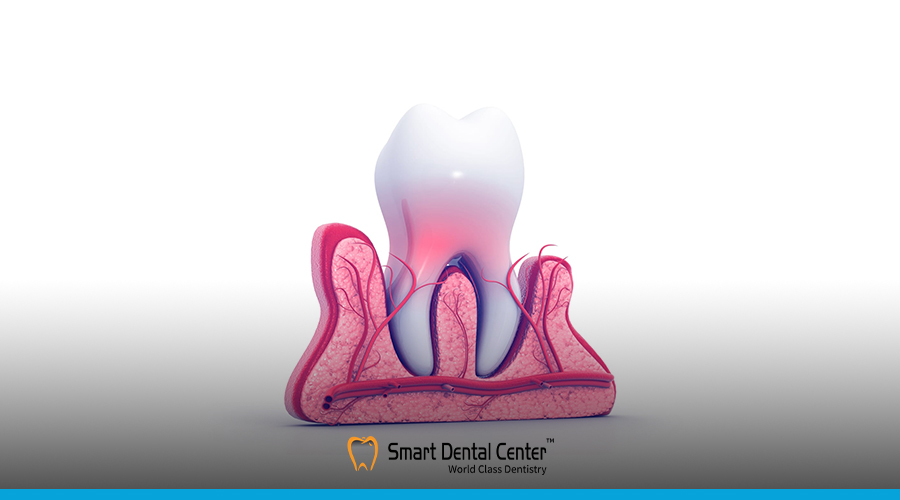 عصب الاسنان